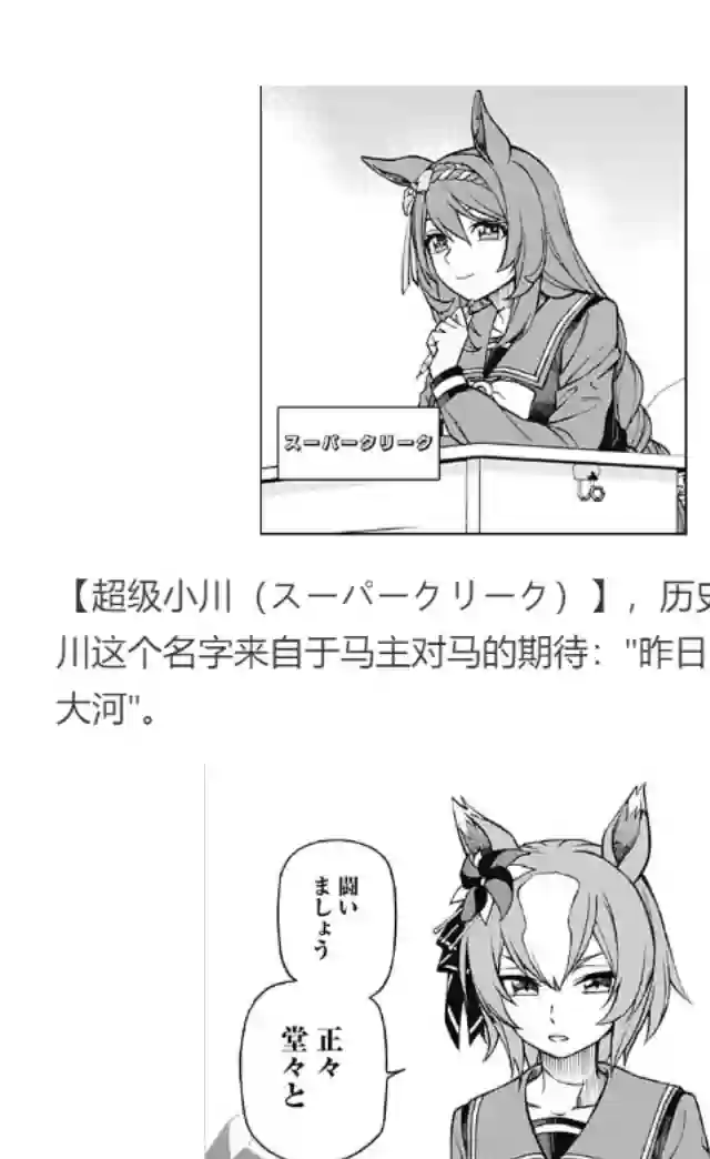 赛马娘：芦毛灰姑娘第17话