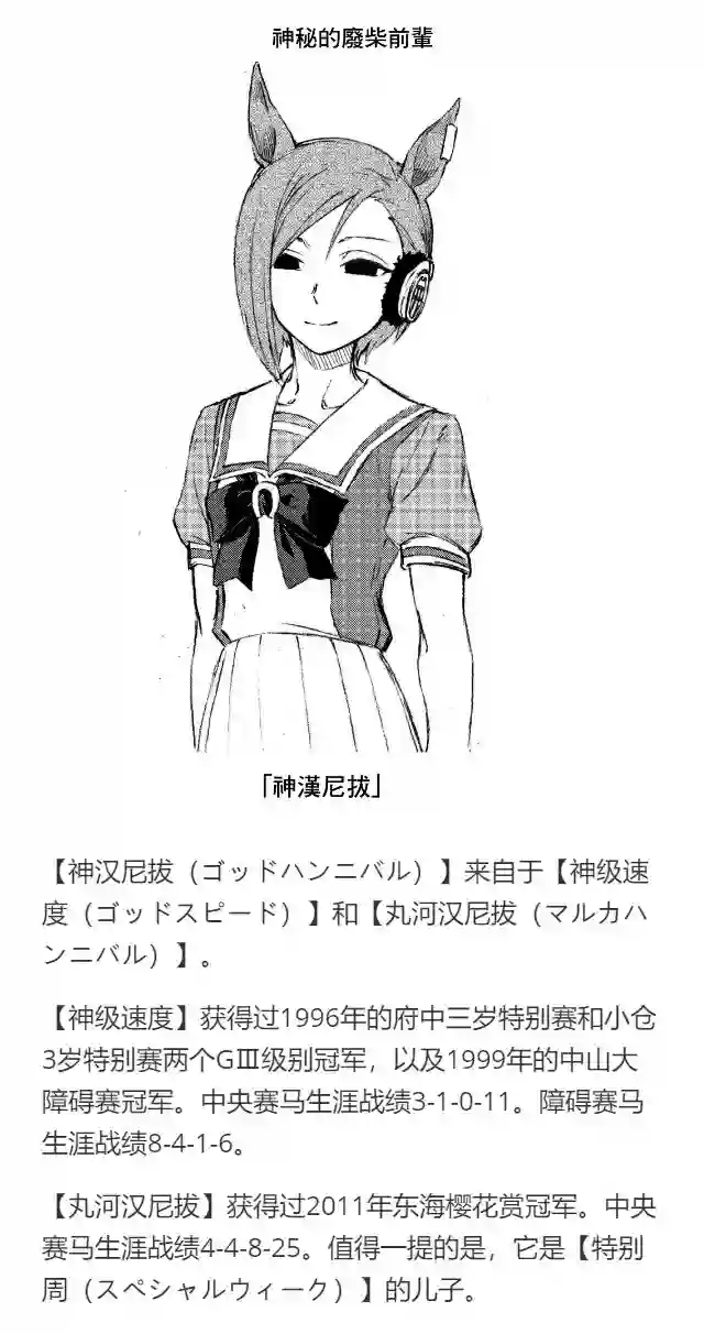 赛马娘：芦毛灰姑娘第19话