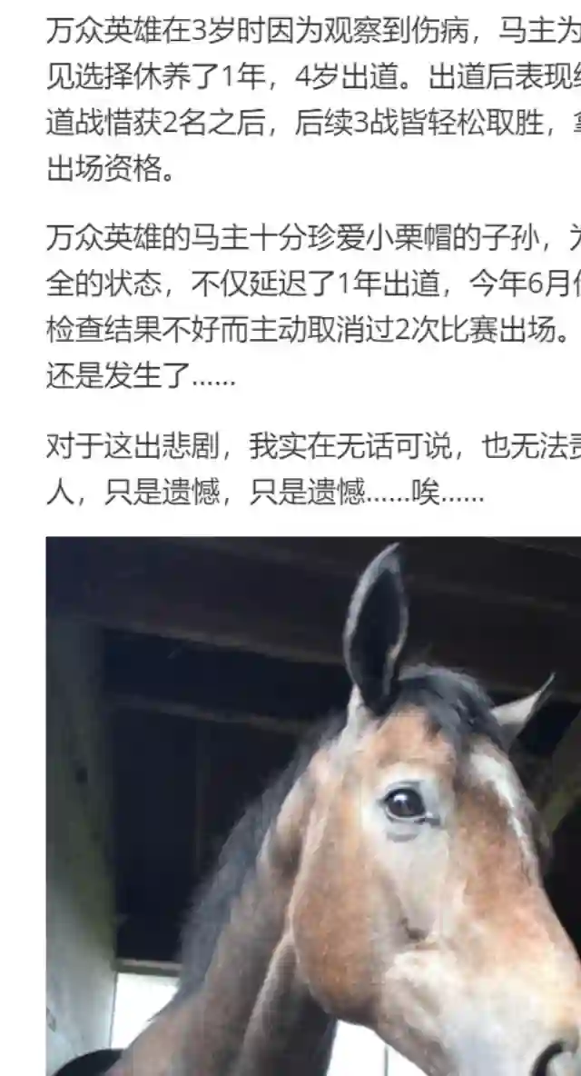 赛马娘：芦毛灰姑娘第24话