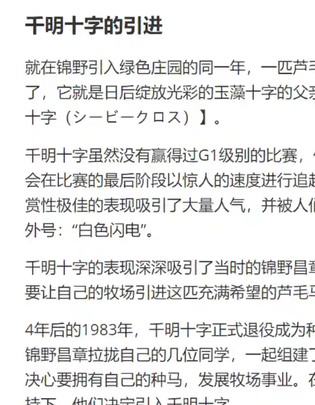 赛马娘：芦毛灰姑娘第30话