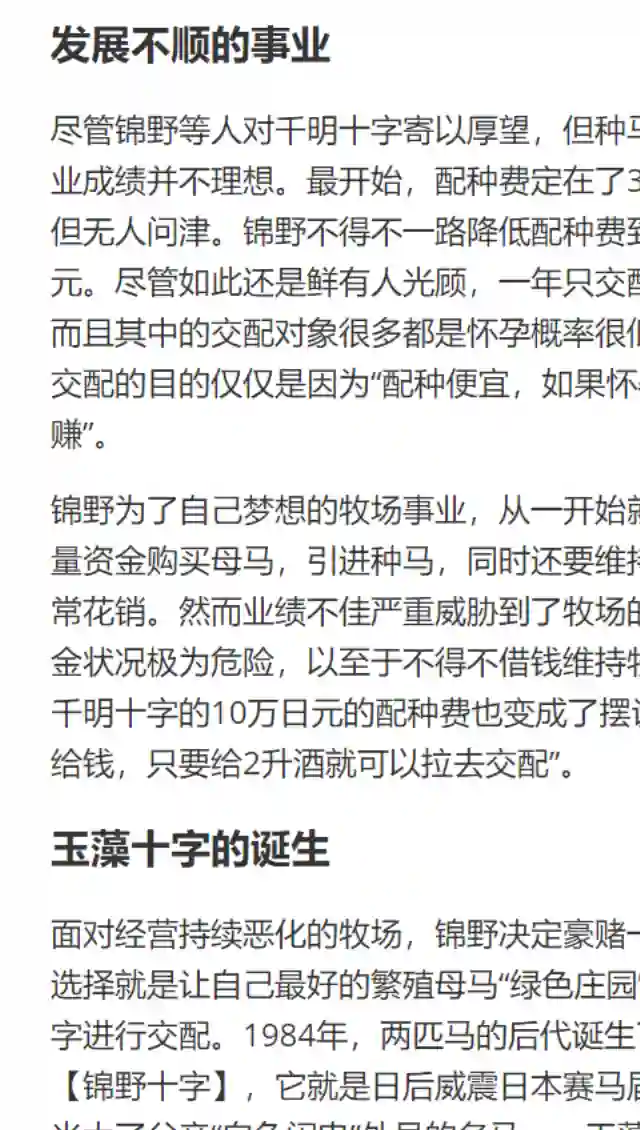 赛马娘：芦毛灰姑娘第30话