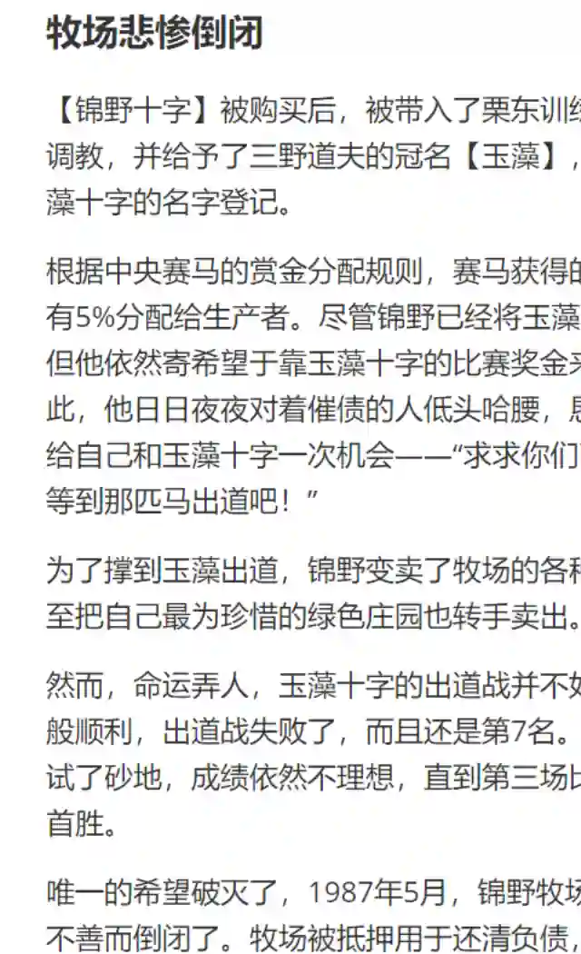 赛马娘：芦毛灰姑娘第30话