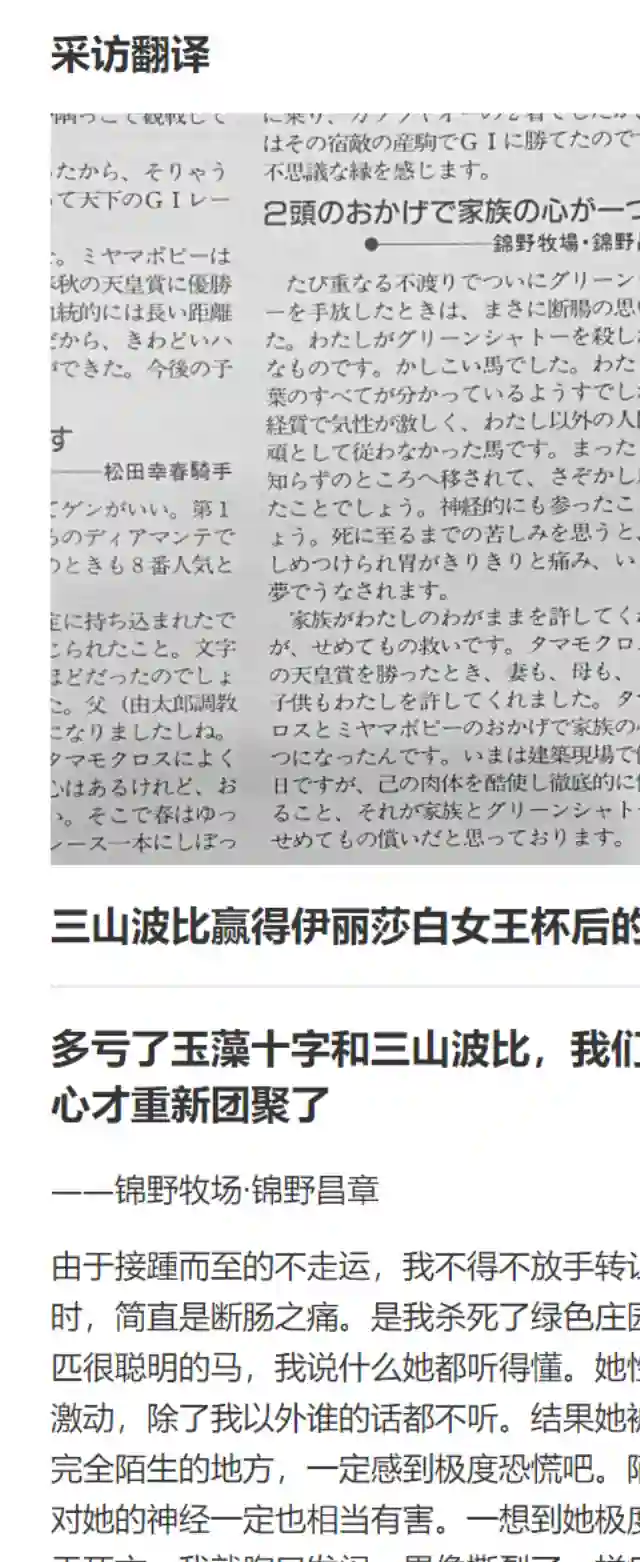 赛马娘：芦毛灰姑娘第30话