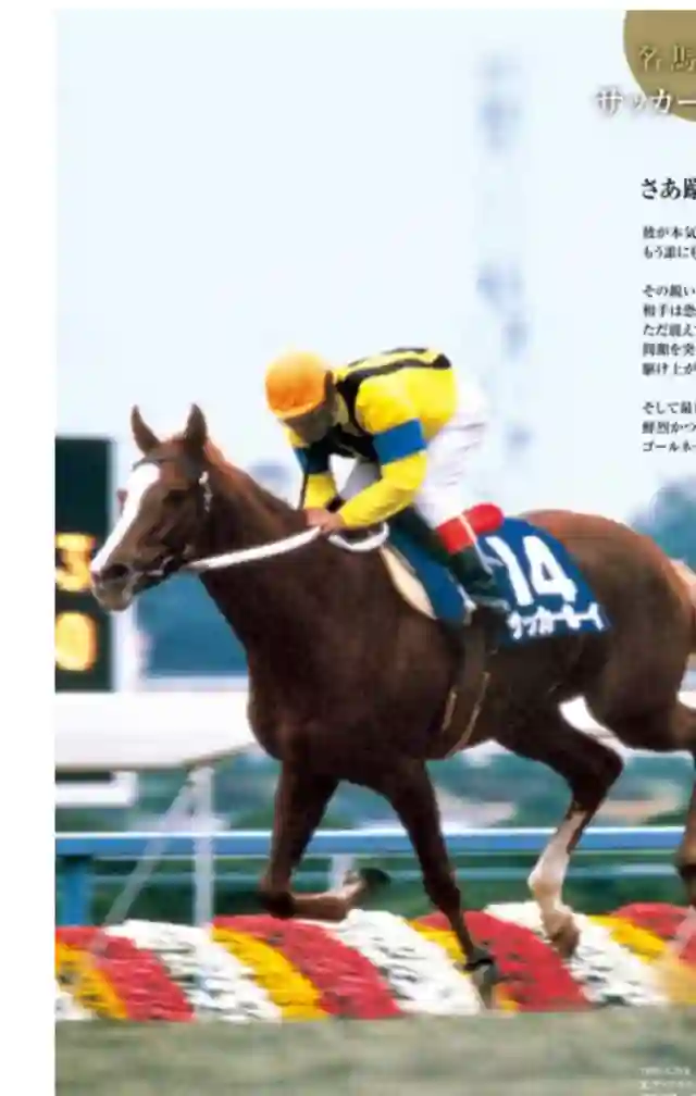 赛马娘：芦毛灰姑娘第32话