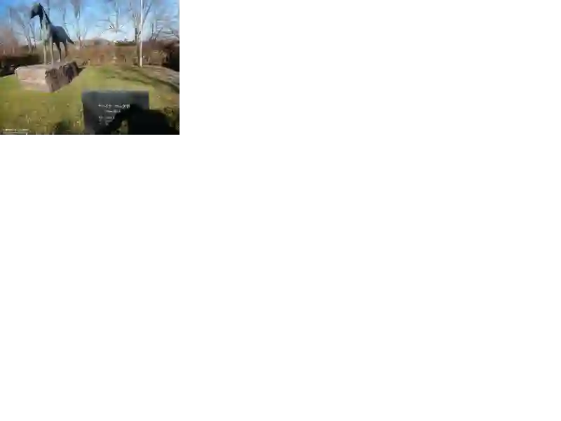 赛马娘：芦毛灰姑娘第33话