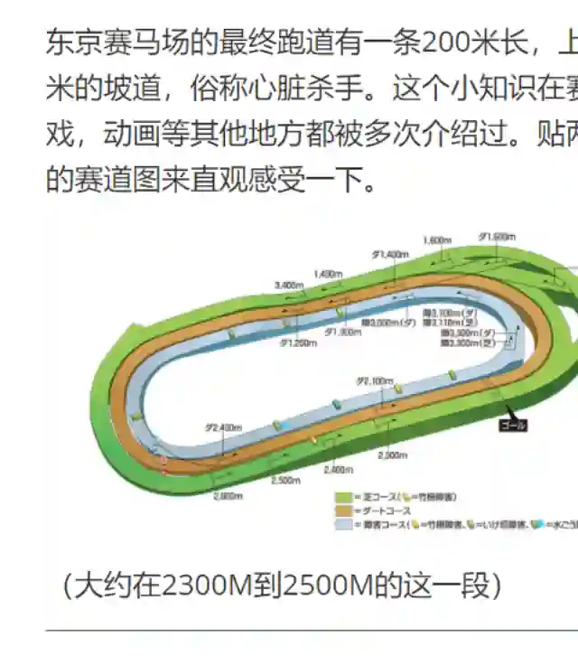 赛马娘：芦毛灰姑娘第40话