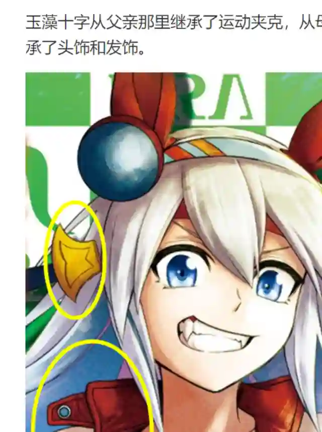 赛马娘：芦毛灰姑娘第40话