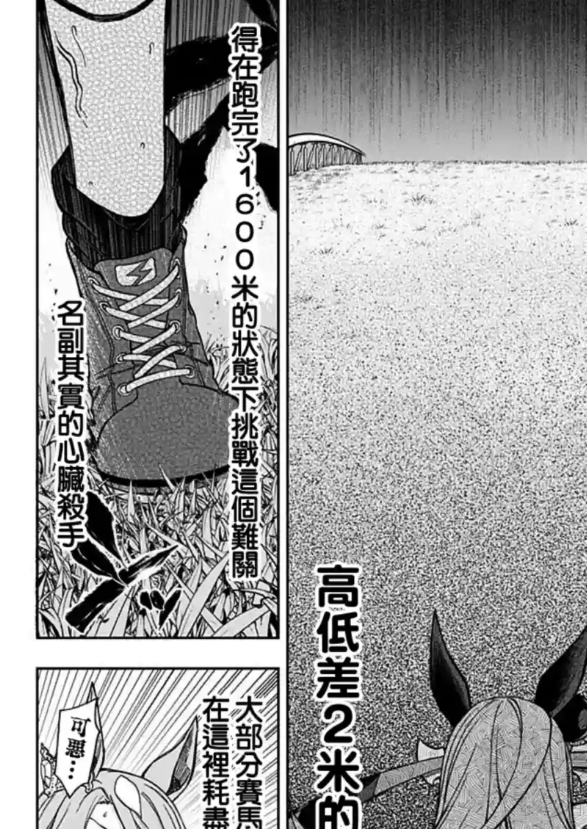 赛马娘：芦毛灰姑娘第40话