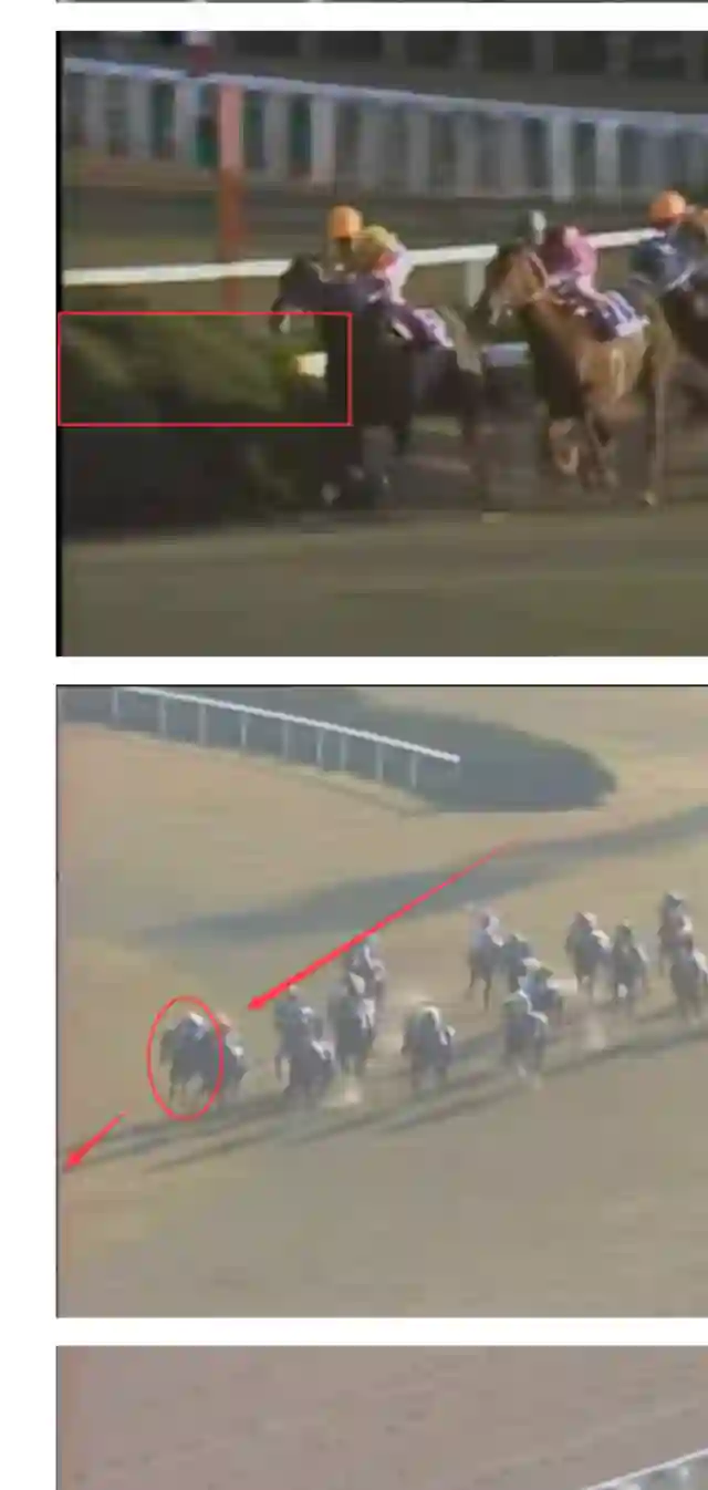 赛马娘：芦毛灰姑娘第47话