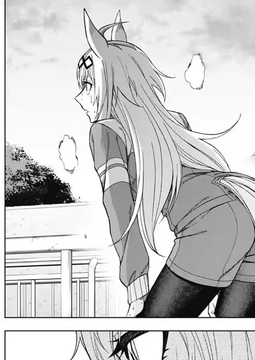 赛马娘：芦毛灰姑娘第48话