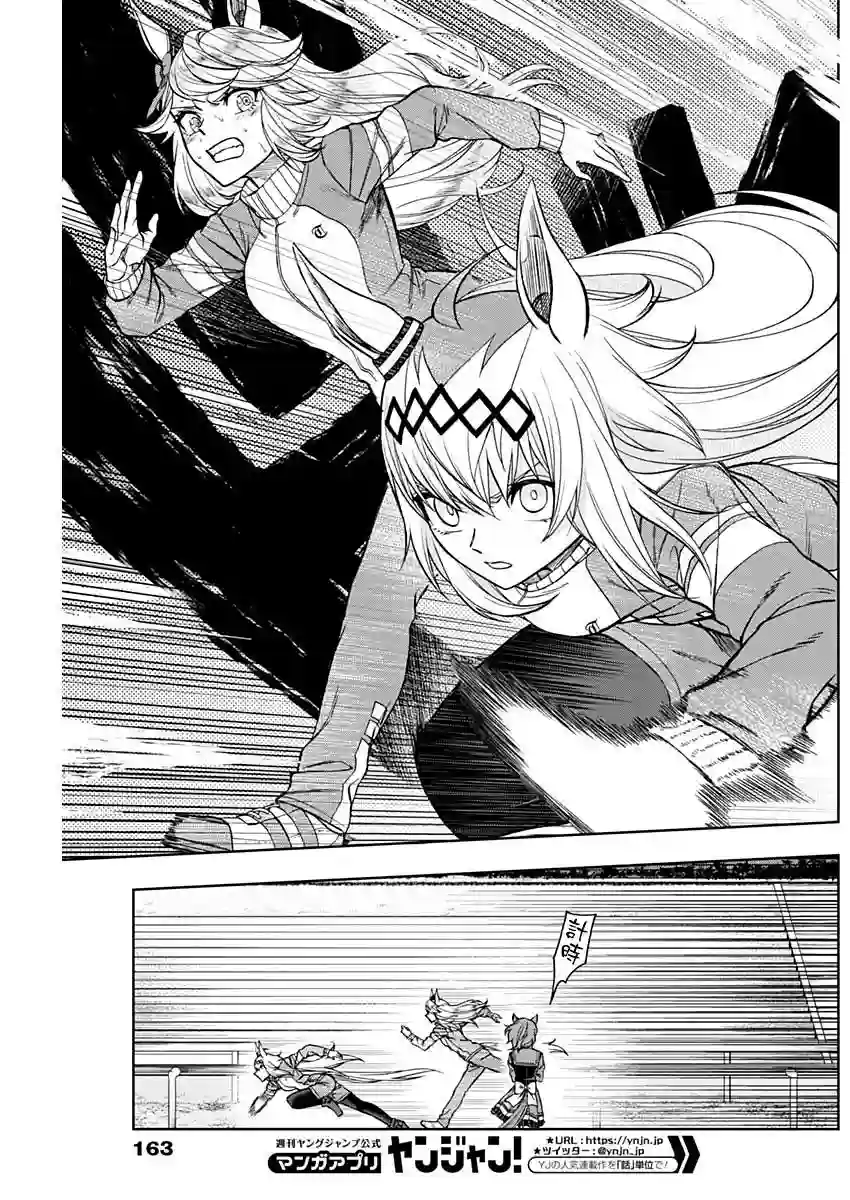 赛马娘：芦毛灰姑娘第50话