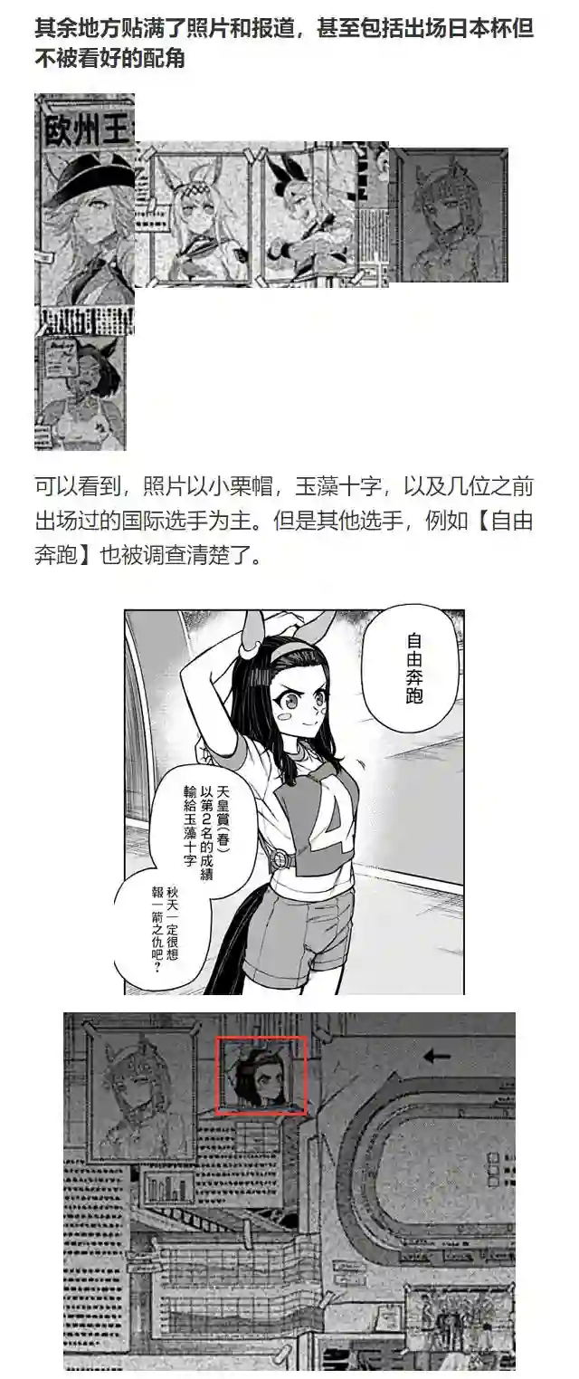 赛马娘：芦毛灰姑娘第50话