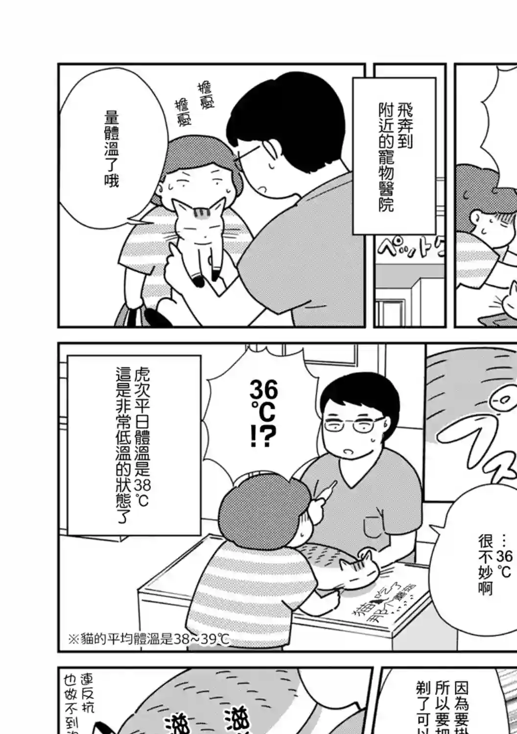 猫咪虎次漫长的一天第02话