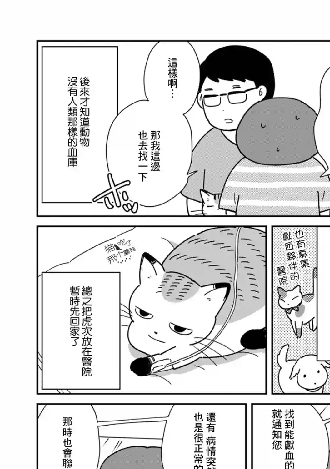 猫咪虎次漫长的一天第02话