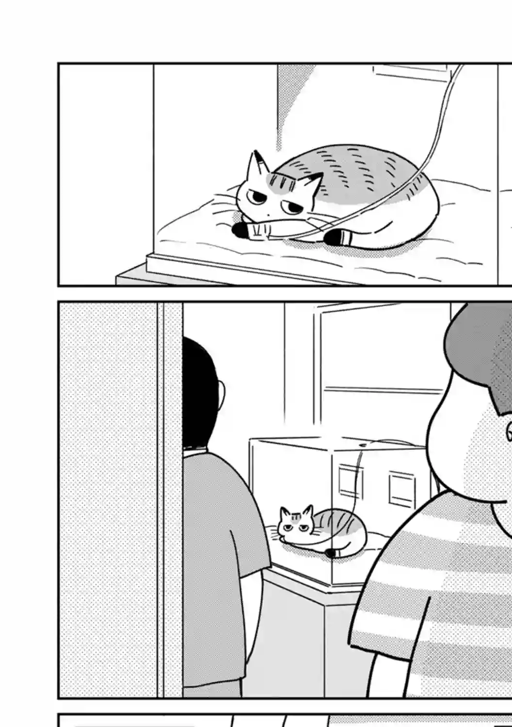 猫咪虎次漫长的一天第02话