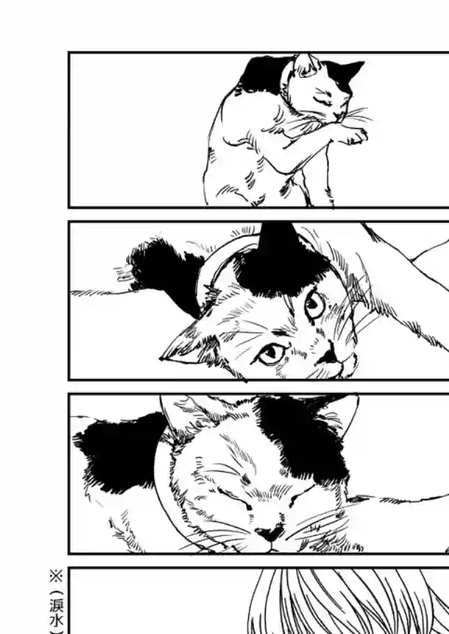 伊集院隼人氏不平稳的日常第02话