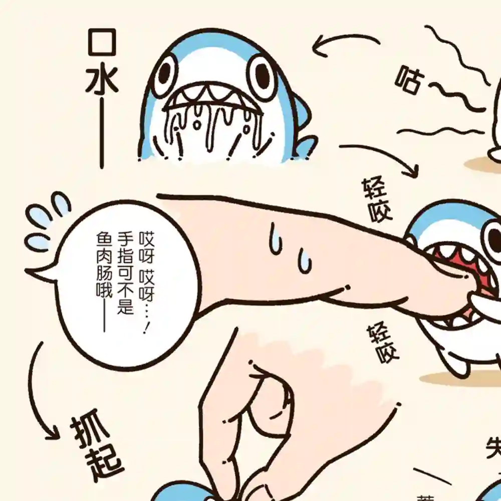 小小鲨鱼第01话