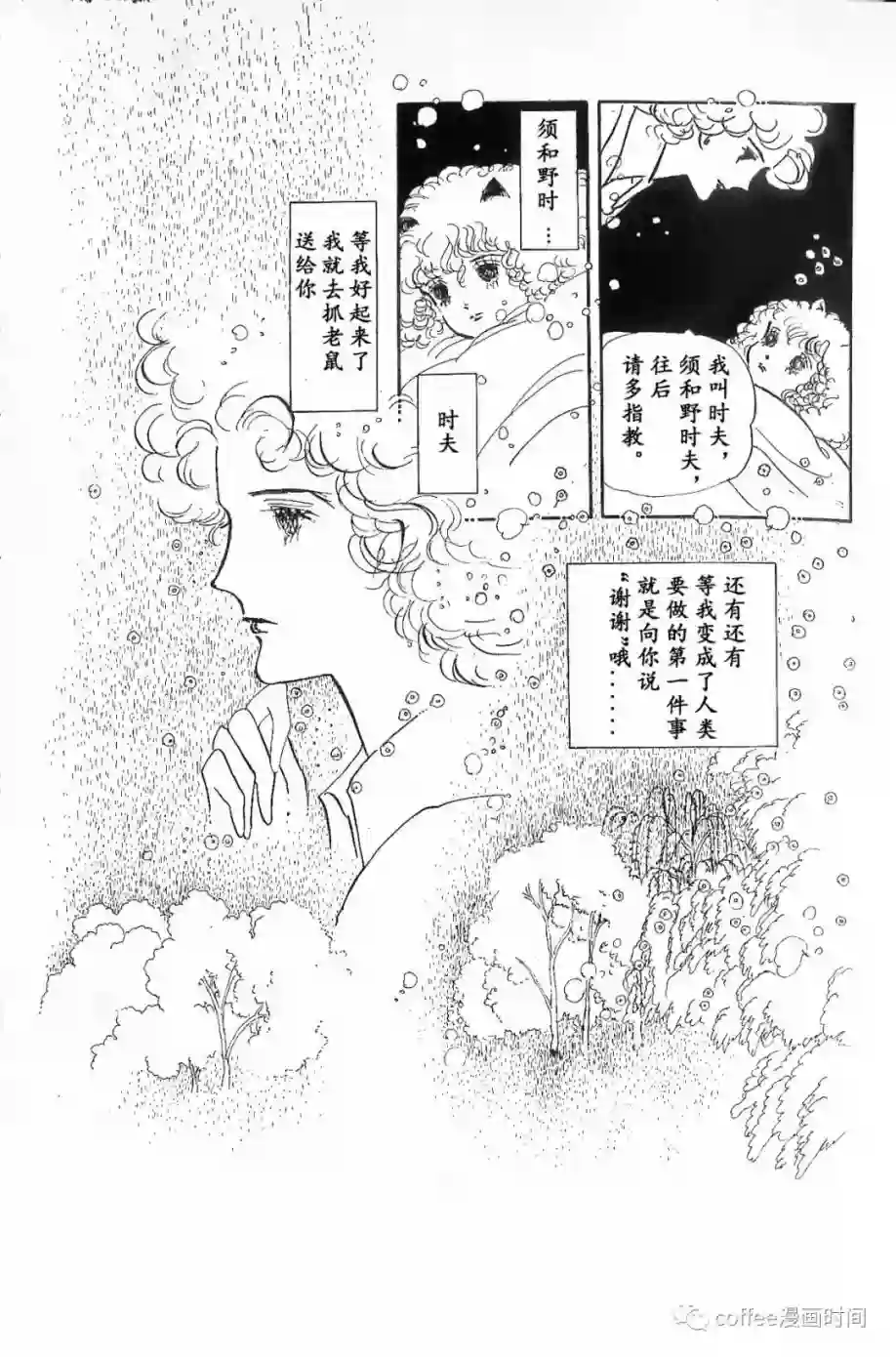 绵之国星第01话