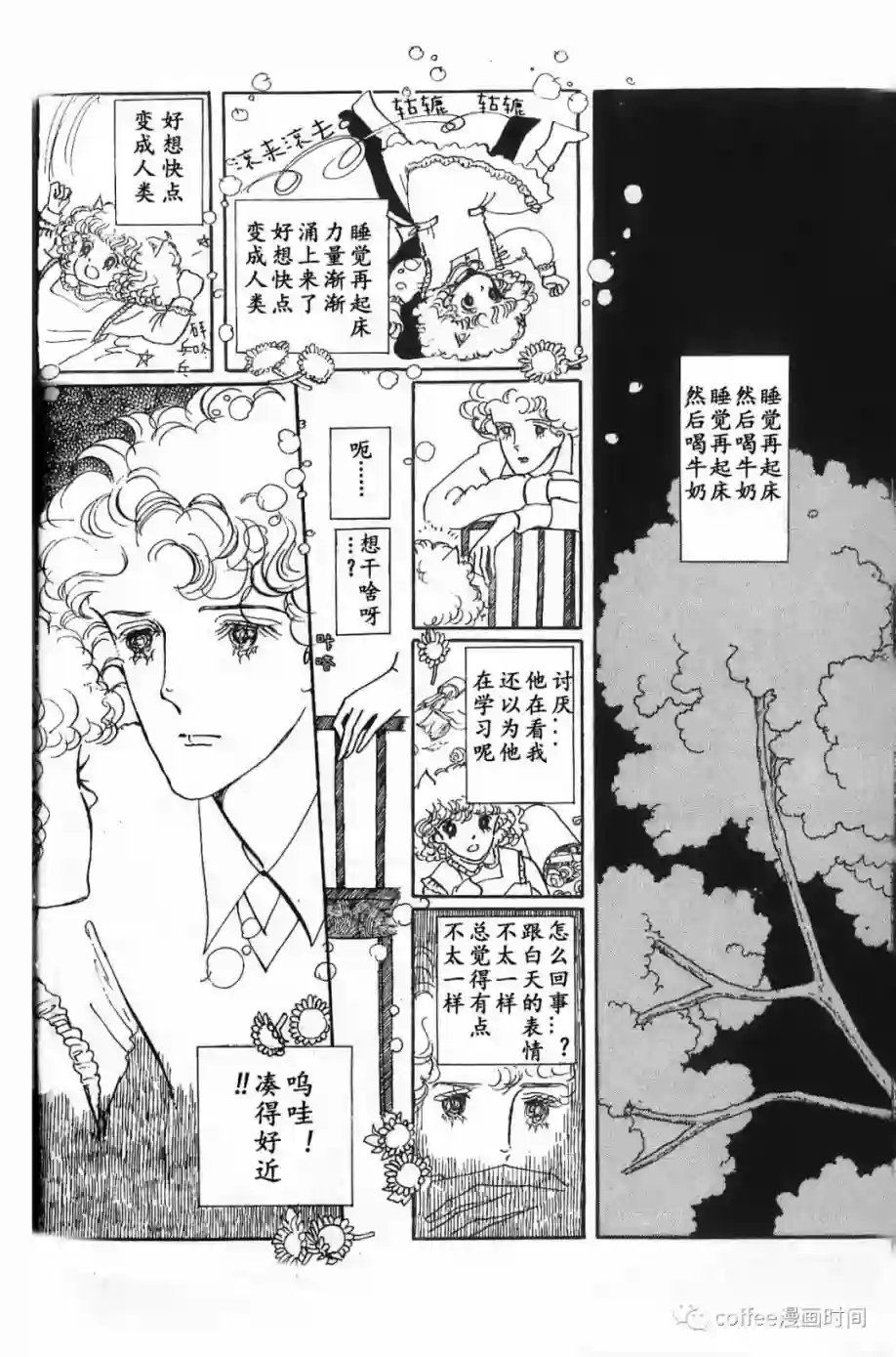 绵之国星第01话