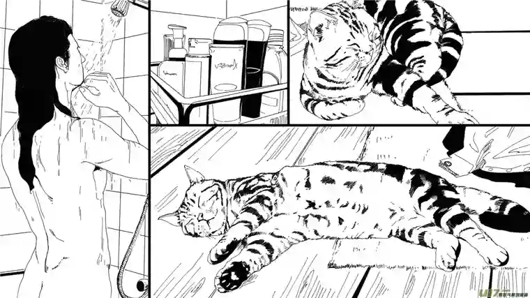 莉莉娅101 暗夜白光