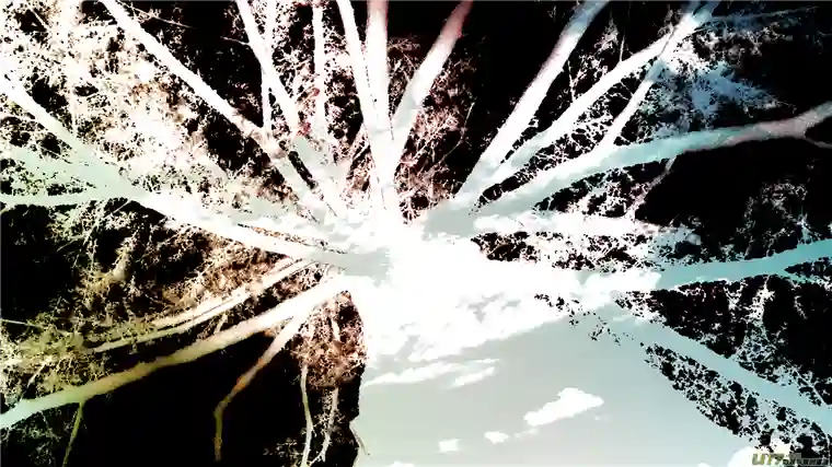 莉莉娅109 颅内疯狂昔日荣光