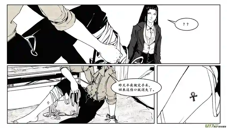 莉莉娅110 流浪猫