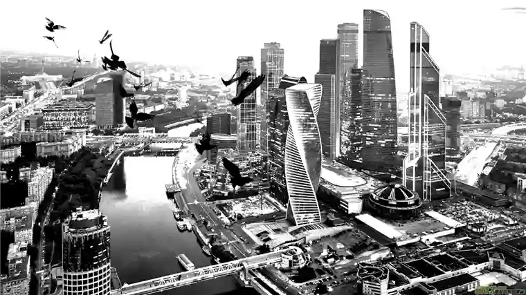 莉莉娅110 流浪猫