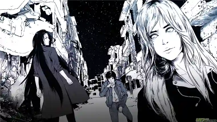 莉莉娅110 流浪猫