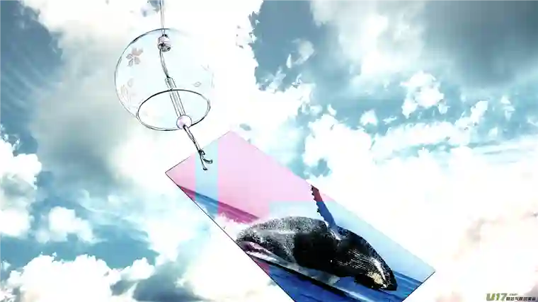 莉莉娅110 流浪猫