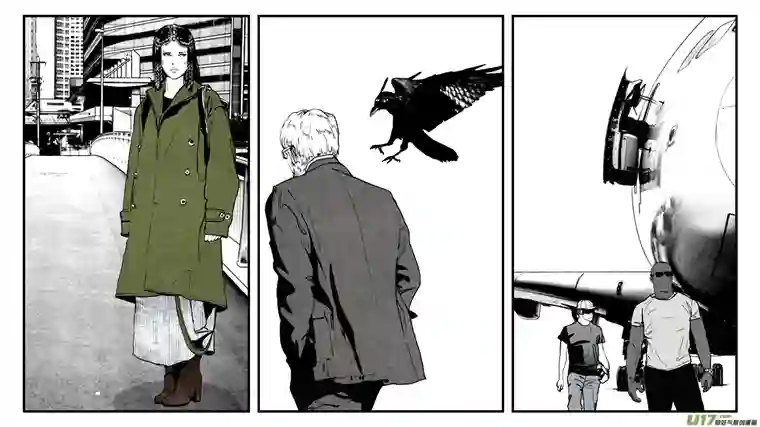 莉莉娅110 流浪猫