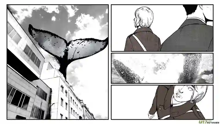 莉莉娅110 流浪猫