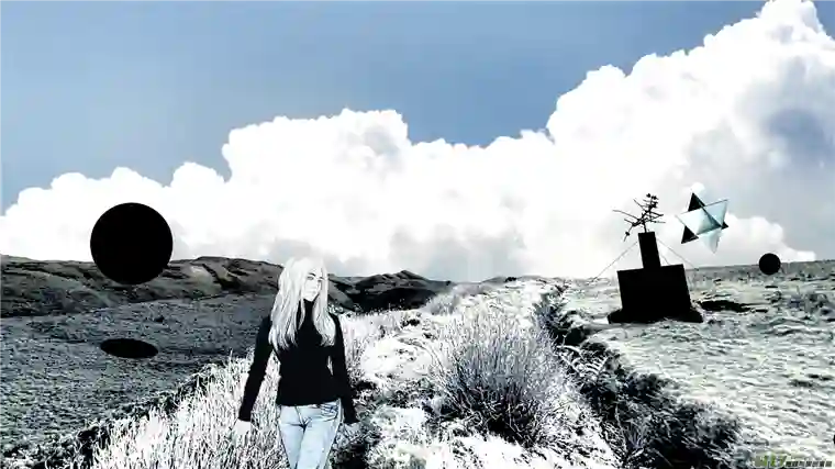 莉莉娅110 流浪猫