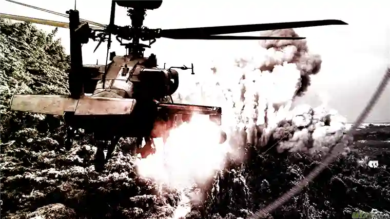 莉莉娅110 流浪猫