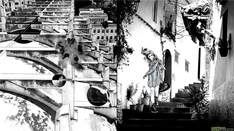 莉莉娅110 流浪猫