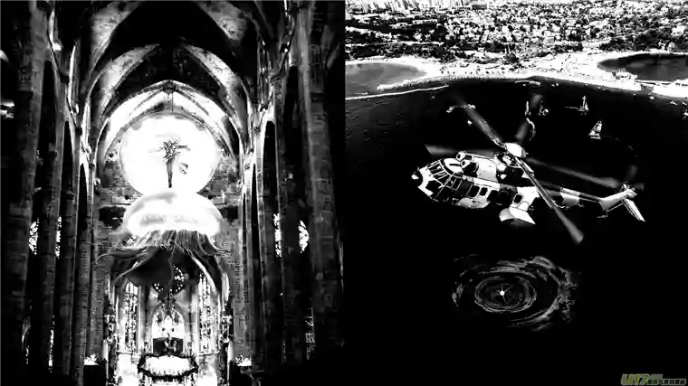 莉莉娅110 流浪猫