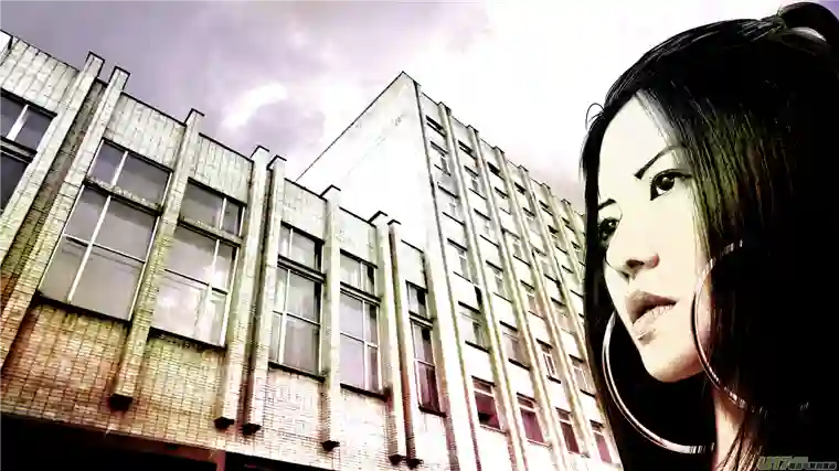 莉莉娅110 流浪猫