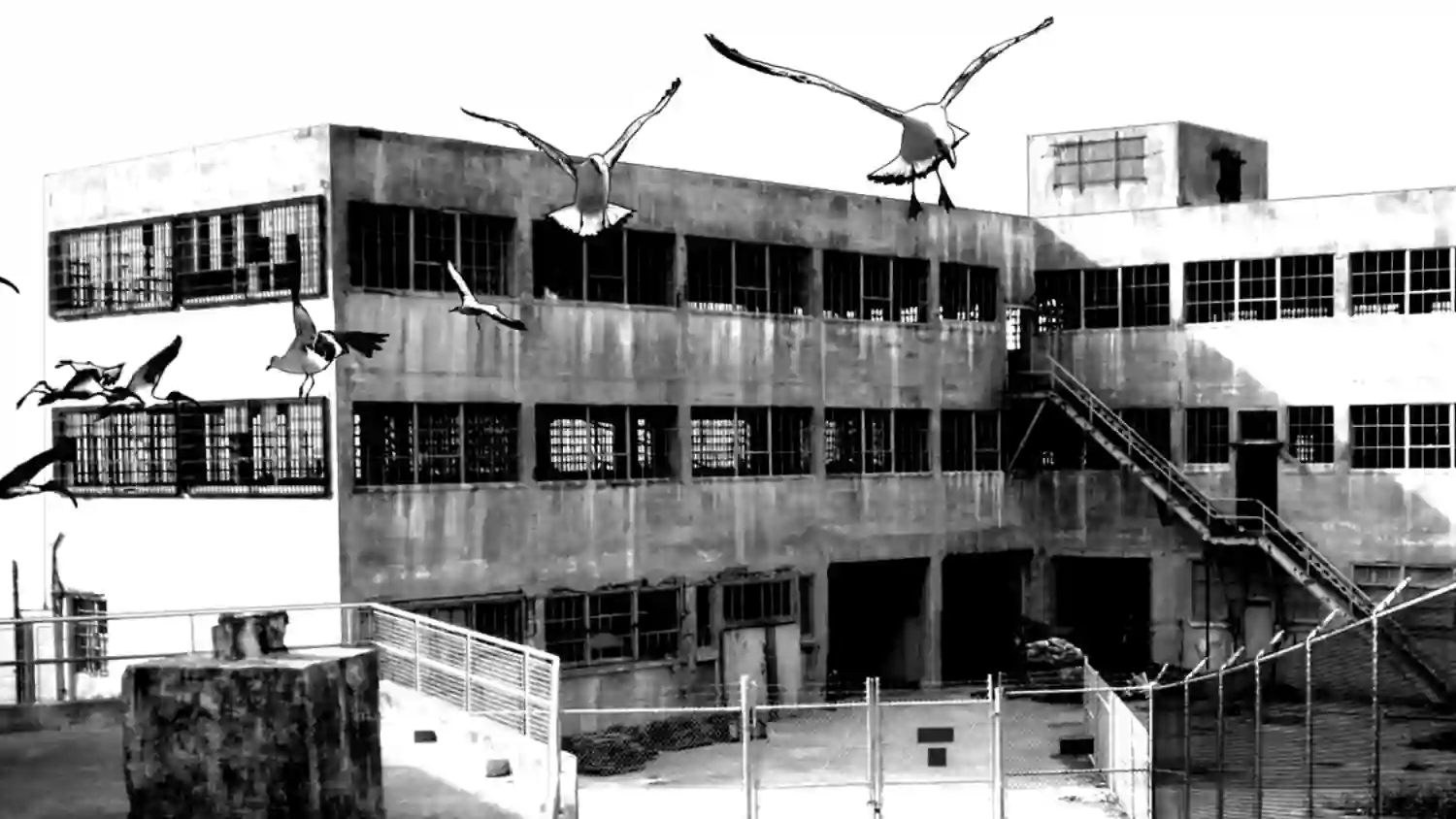 莉莉娅111 替罪羊