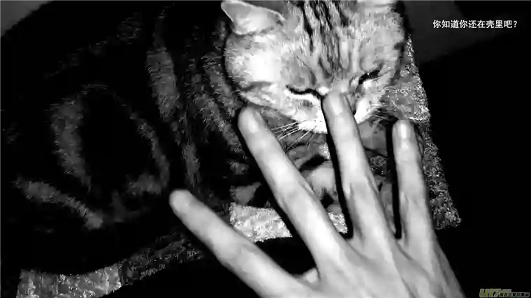 莉莉娅114 For the Past - 遗落碎片