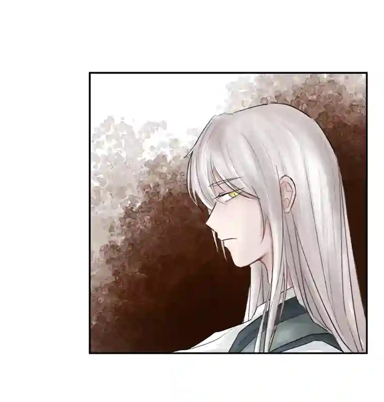 帝君许我做夫妻（七）受伤