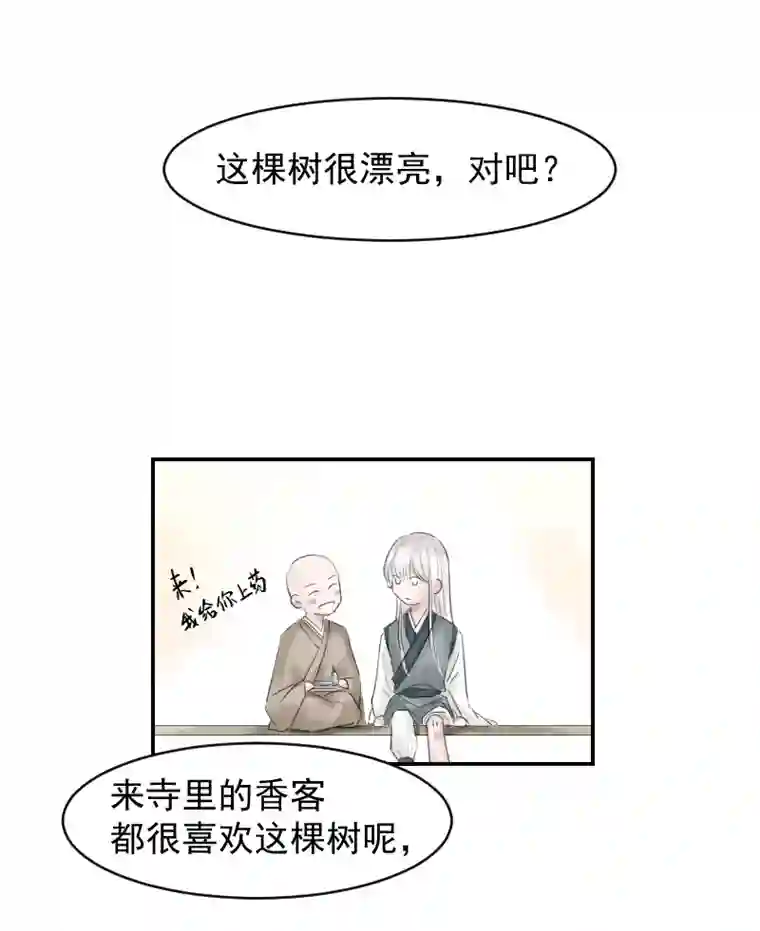 帝君许我做夫妻（八）护着你