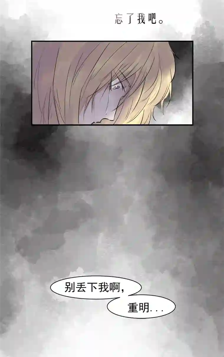 帝君许我做夫妻（二十五）许愿