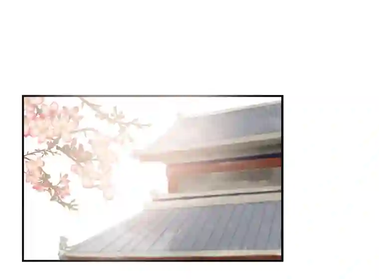 帝君许我做夫妻（三十二）准备