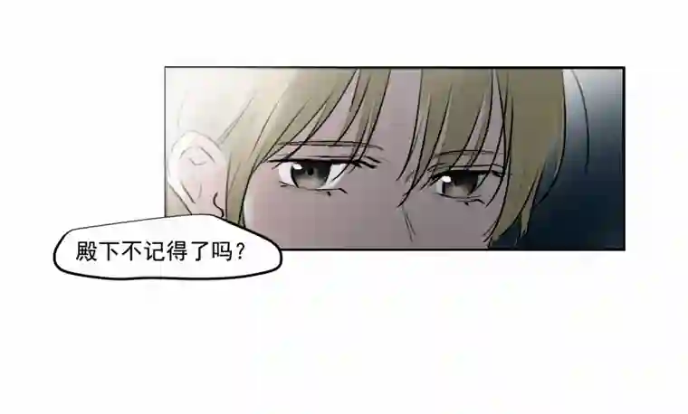 帝君许我做夫妻（三十八）明知不可为