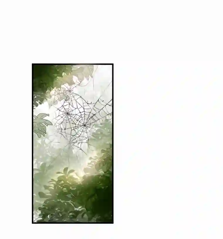 帝君许我做夫妻（四十二）新转世