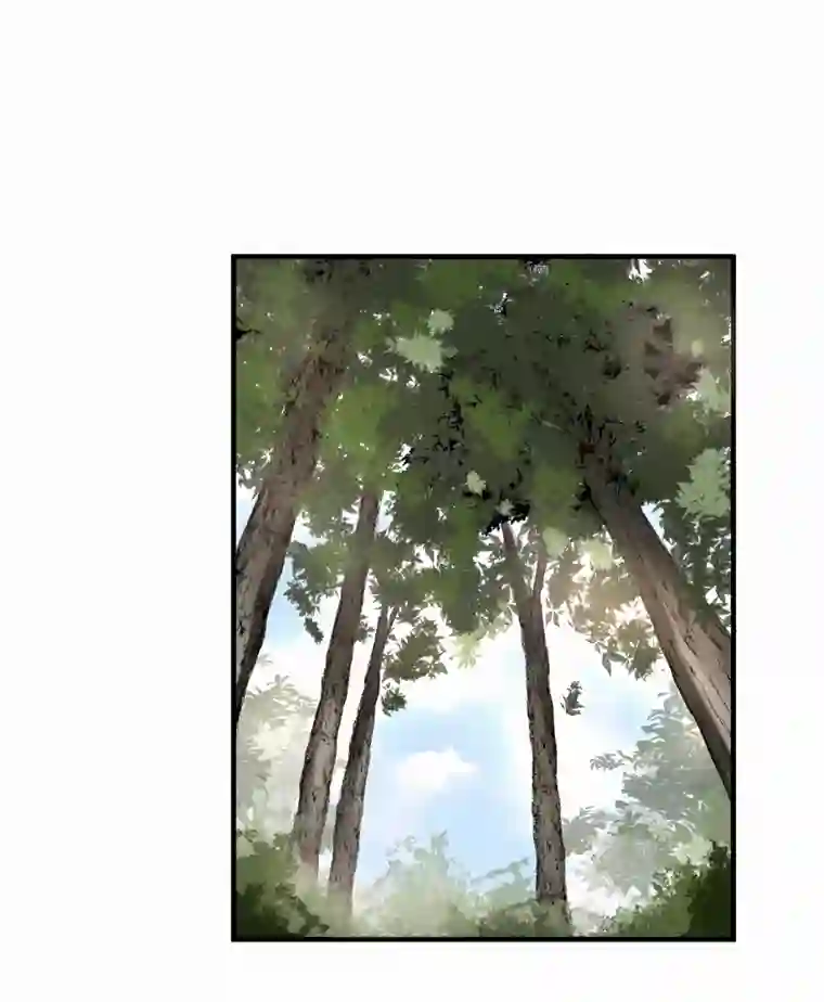 帝君许我做夫妻（四十二）新转世