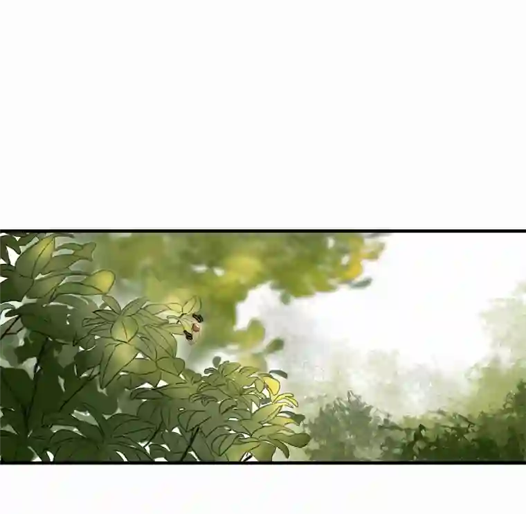 帝君许我做夫妻（四十二）新转世