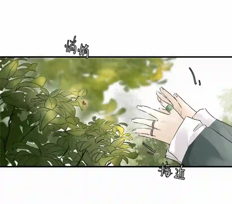 帝君许我做夫妻（四十二）新转世