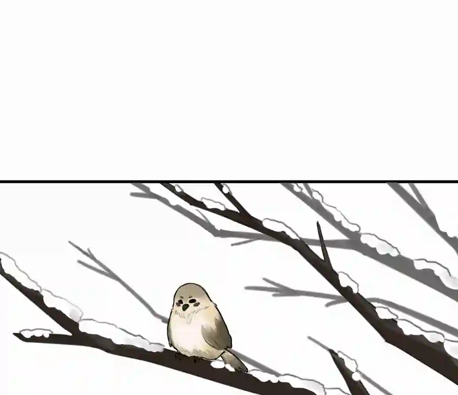 帝君许我做夫妻（四十八）狐狸他命苦啊