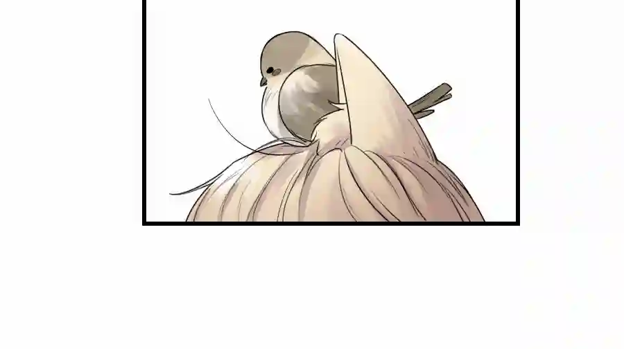 帝君许我做夫妻（四十八）狐狸他命苦啊