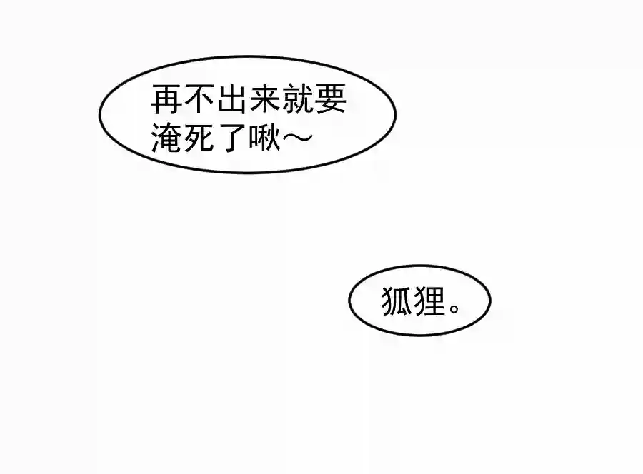 帝君许我做夫妻（四十八）狐狸他命苦啊